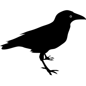 Raven PNG-71457